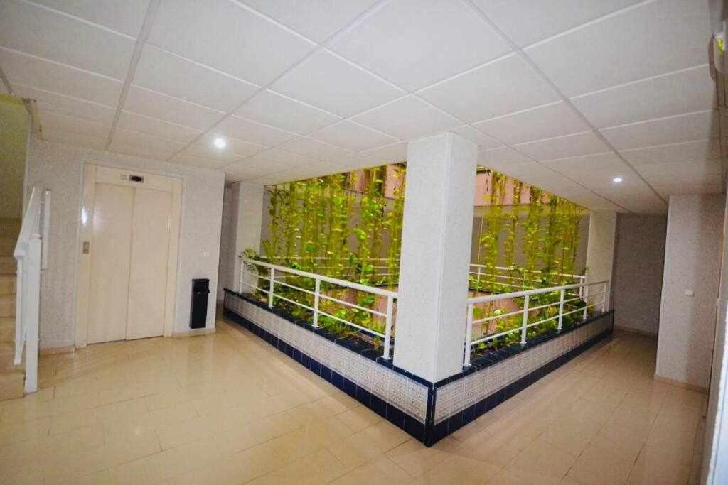 Apartamento Pink Sweet Home Torrevieja Exteriör bild